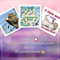 📌 1 марта -первый день весны и замечательный праздник – Всемирный день кошек. 🐈🐈 📌 1 марта -первый день весны и замечательный праздник – Всемирный день кошек. 🐈🐈.