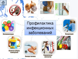 Профилактика инфекционных заболеваний у детей. Профилактика инфекционных заболеваний у детей.