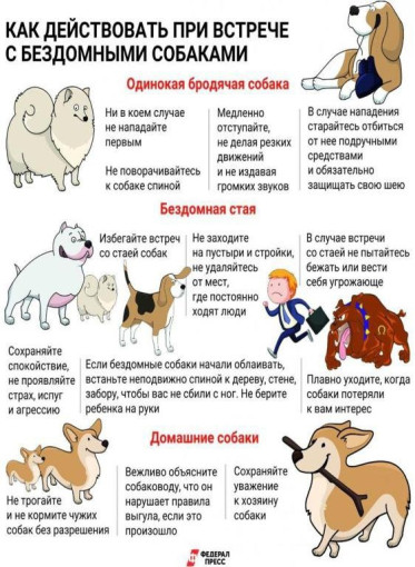 «Осторожно, злые собаки!» «Осторожно, злые собаки!».